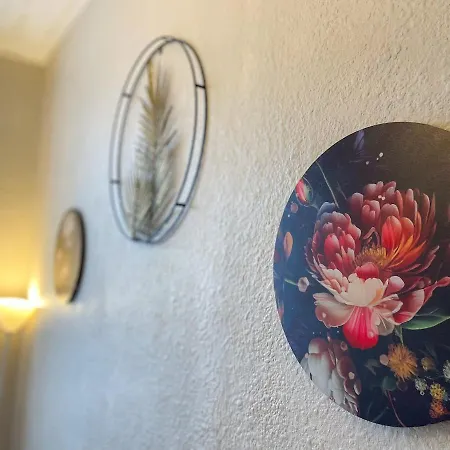 Le Petit Carnot Wifi Centre-ville Appartamento Le Puy-en-Velay