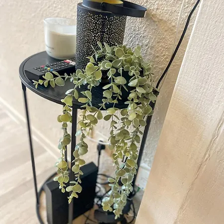 Le Petit Carnot Wifi Centre-ville Appartamento Le Puy-en-Velay