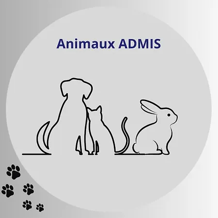 Le Petit Carnot Wifi Centre-ville * Le Puy-en-Velay