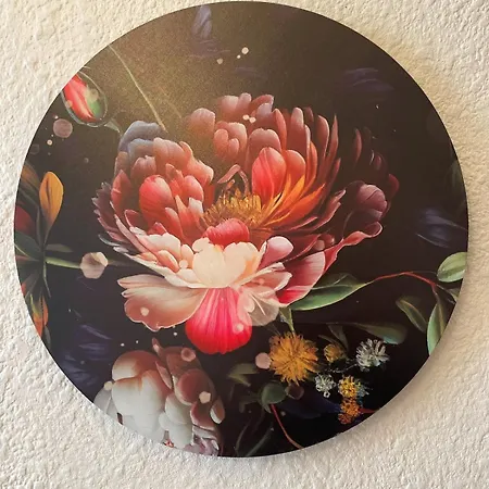 Le Petit Carnot Wifi Centre-ville